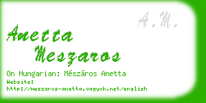 anetta meszaros business card