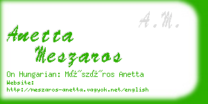anetta meszaros business card